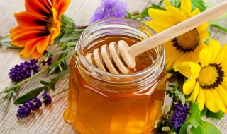 蜂蜜姜片茶如何做 蜂蜜生姜茶该怎么做