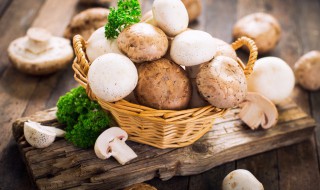 蘑菇酿如何做 蘑菇酿的简单家常做法