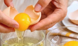 鸡蛋煎包子片如何做 鸡蛋煎包子片的做法