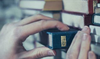 抱团取暖的意思 抱团取暖的释义