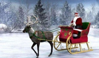 圣诞老人的雪橇是什么动物拉的 圣诞老人一般会将礼物放在哪里