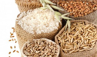 稻子高粱粮食玉米小麦哪个不是同一类为什么 稻子高粱粮食玉米小麦哪个不是一类的原因