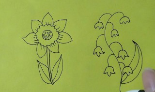花朵怎么画 花朵画画步骤