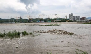 梦见发大水成功逃跑 梦见发大水成功逃跑的意思