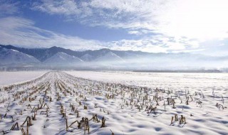 下雪不冷化雪冷的原理 下面给大家进行科普