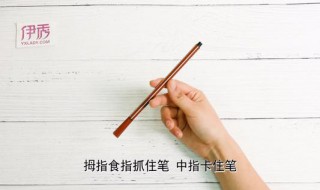 新手教程转笔教学 进来看看