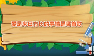 爱是来日方长的事情哪首歌词 爱是来日方长的事情这首歌演唱者是谁