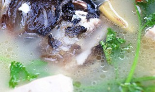 花鲢鱼头汤的做法 花鲢鱼头汤的做法是什么
