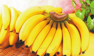 香蕉皮的功效与作用 七点功效和作用需知
