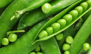 吃豌豆有什么好处 健康饮食