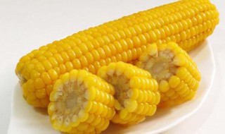 吃玉米有什么好处 健康饮食