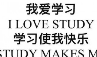 大一学年的平均学分绩点3.9是什么水平 可以拿大学奖学金吗