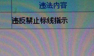 决定书编号16位怎么查 这4种途径都可以查询得到