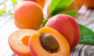 杏子干的功效与作用 杏子干的好处