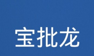 宝批龙是什么意思 宝批龙指的是什么