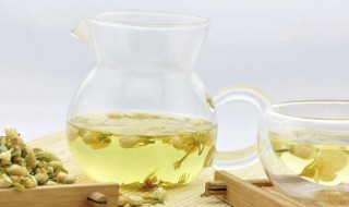 茉莉茶叶的功效与禁忌 不可空腹饮茶