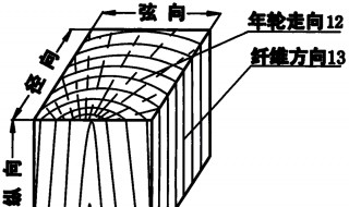 年轮是同一年内产生的什么和什么组成的 具体内容如下·