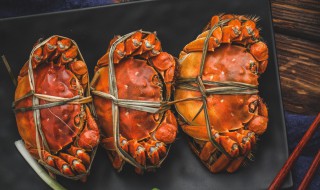 大闸蟹怎么保存才不死 这三种方法可让螃蟹保鲜