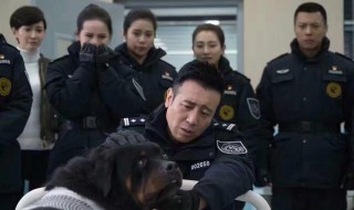 一警花与警犬中万人相亲大会在哪一集 了解一下