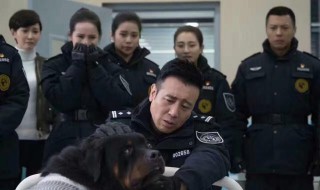 警花与警犬樱桃打110是第几集 警花与警犬樱桃第12集报警