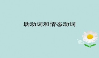 英语中助动词是什么意思 英语中助动词的意思介绍