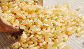 糙米是什么米 糙米详细介绍