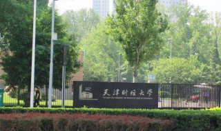 天津财经大学考研2020人数 为梦想奋斗的人很多