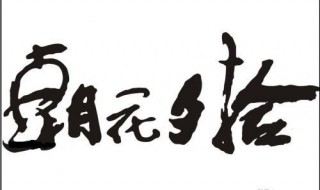 朝花夕拾读后感500字 朝花夕拾看完感受