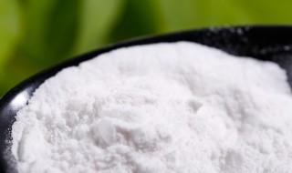 苏打粉的功效与作用、禁忌和食用方法 苏打粉的好处有哪些