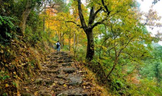 南黄古道游记（黄南古道在哪里）