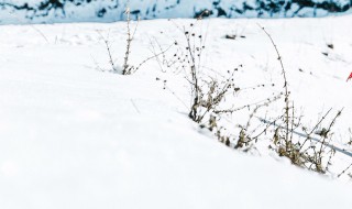 沁园春雪拼音 沁园春雪原文拼音版