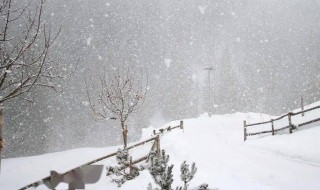 俄而雪骤的俄而是什么意思 俄而雪骤原文介绍