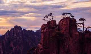 五岳归来不看山黄山归来不看岳谚语的意思 五岳归来不看山黄山归来不看岳的意思