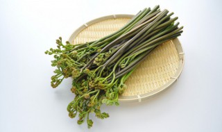 蕨菜是什么味道 关于蕨菜的味道介绍