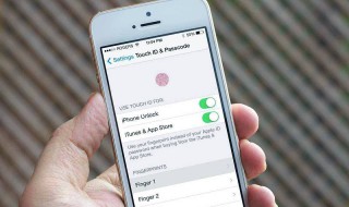 苹果手机指纹识别识别不了怎么办 解决方法介绍