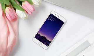 为什么oppor11不升级 oppor11为什么没有系统更新