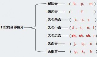 如何按发音部位排列声母 声母排列