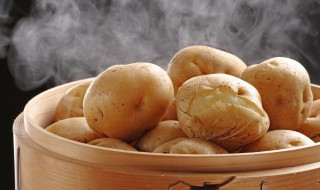 土豆培根卷的做法 土豆培根卷怎么做