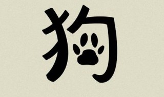 犬字是表达什么意思 了解一下