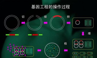 基因工程需要哪些关键工作 这四项是必不可少的