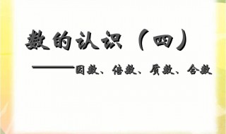 51为什么是合数 最小的合数是几