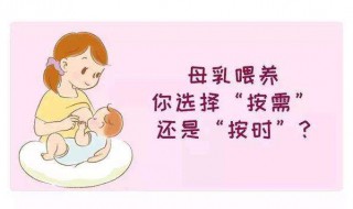 如何正确母乳喂养及技巧 你会了吗