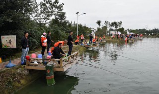 气压1018适合钓鱼吗 你知道吗