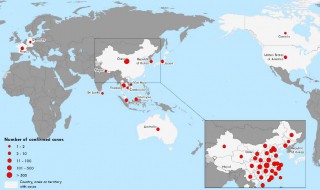 世界几个国家有新冠病毒 大概25个