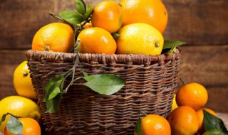 血橙的功效与作用 swisse血橙的功效与作用