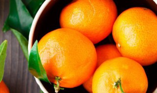 柑橘的功效与作用 绿色柑橘的功效与作用