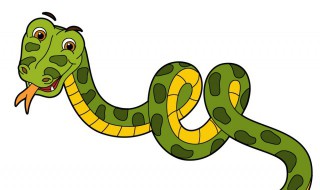 眼镜蛇为什么叫眼镜蛇 眼镜蛇什么原因叫眼镜蛇