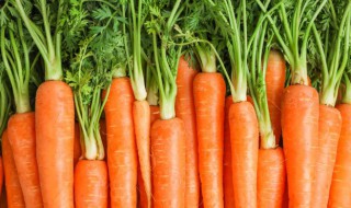 吃胡萝卜可以减肥吗 减肥期间能吃胡萝卜吗