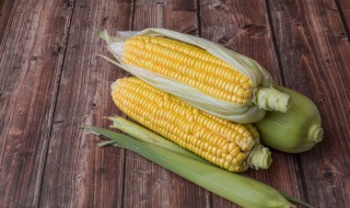 吃玉米有减肥的功效吗 吃玉米能减肥吗