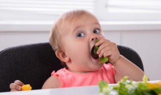 八个月的宝宝可以吃冬寒菜吗 八个月的宝宝能不能吃冬寒菜